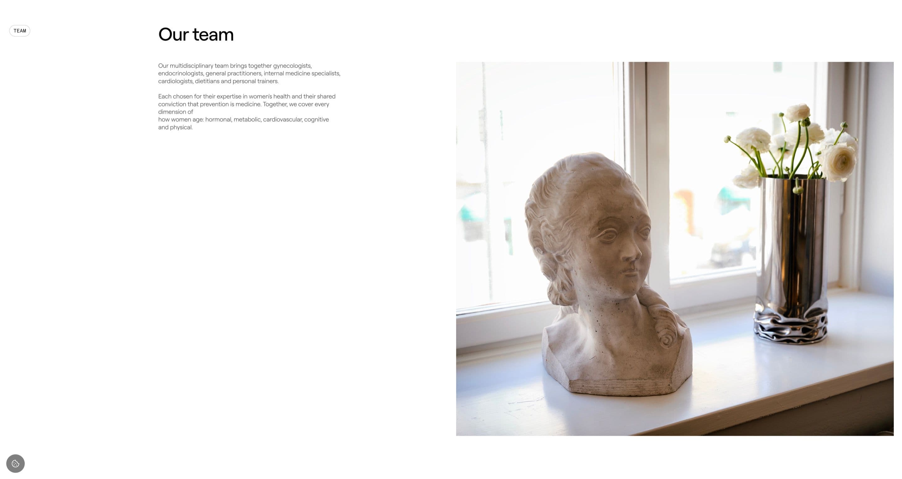 The team section on endohealth.se, with an intro to the multidisciplinary team beside a plaster bust and white flowers on a windowsill