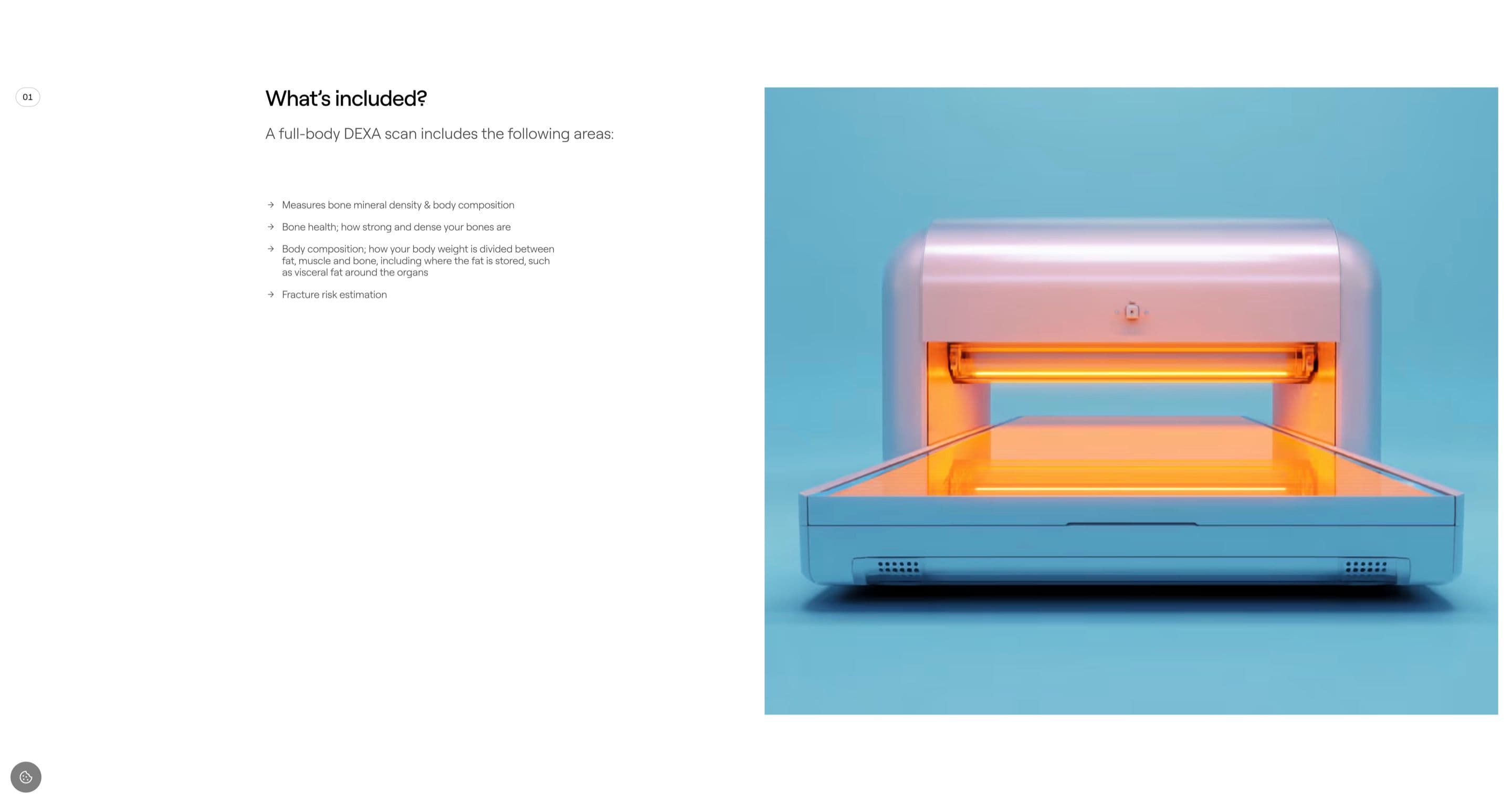 The DEXA scan page on endohealth.se, listing what’s included beside a glowing scanner on a pale blue backdrop