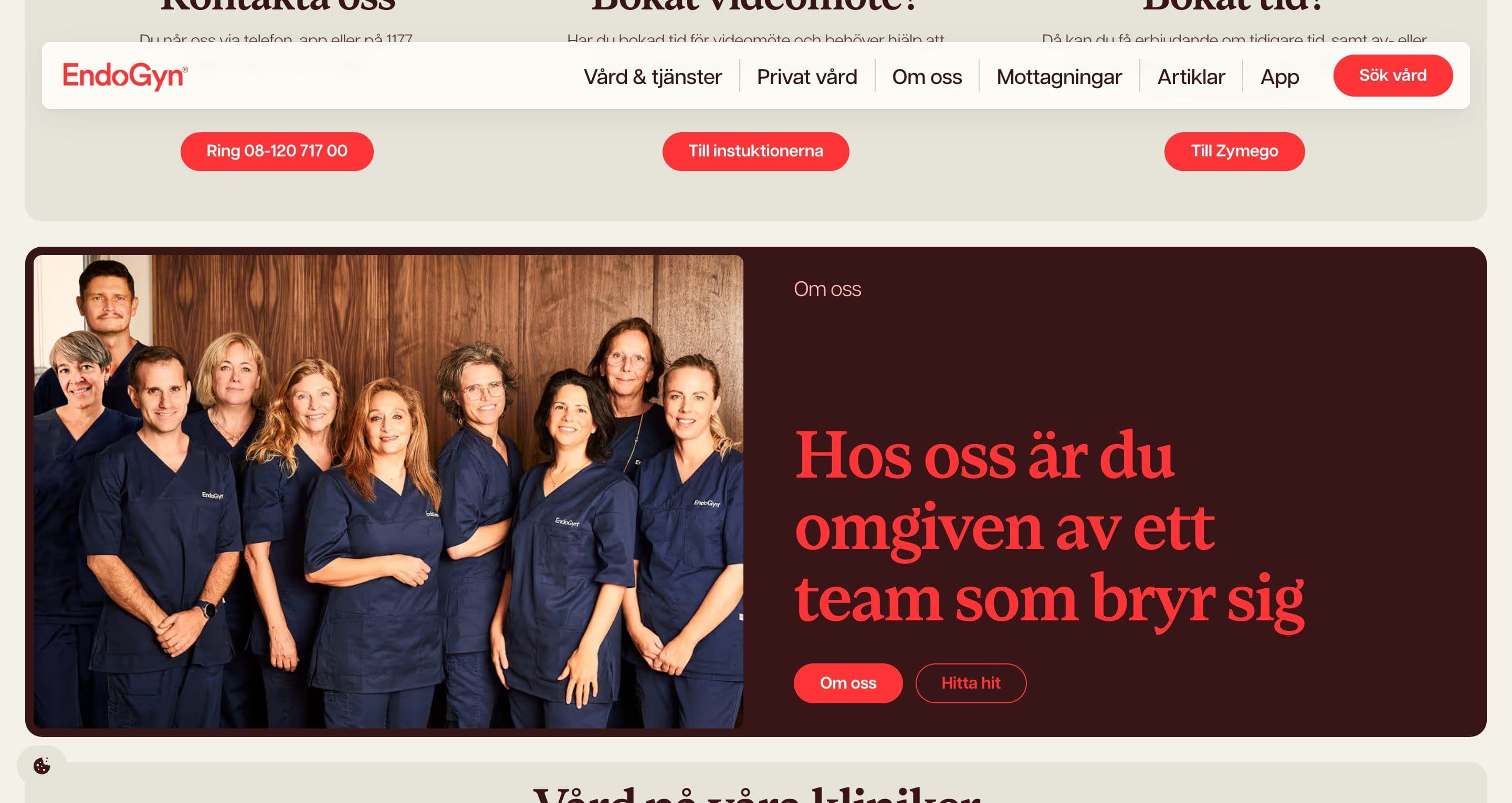 The about section on endogyn.se, the whole team in navy scrubs beside a burgundy panel with a red headline